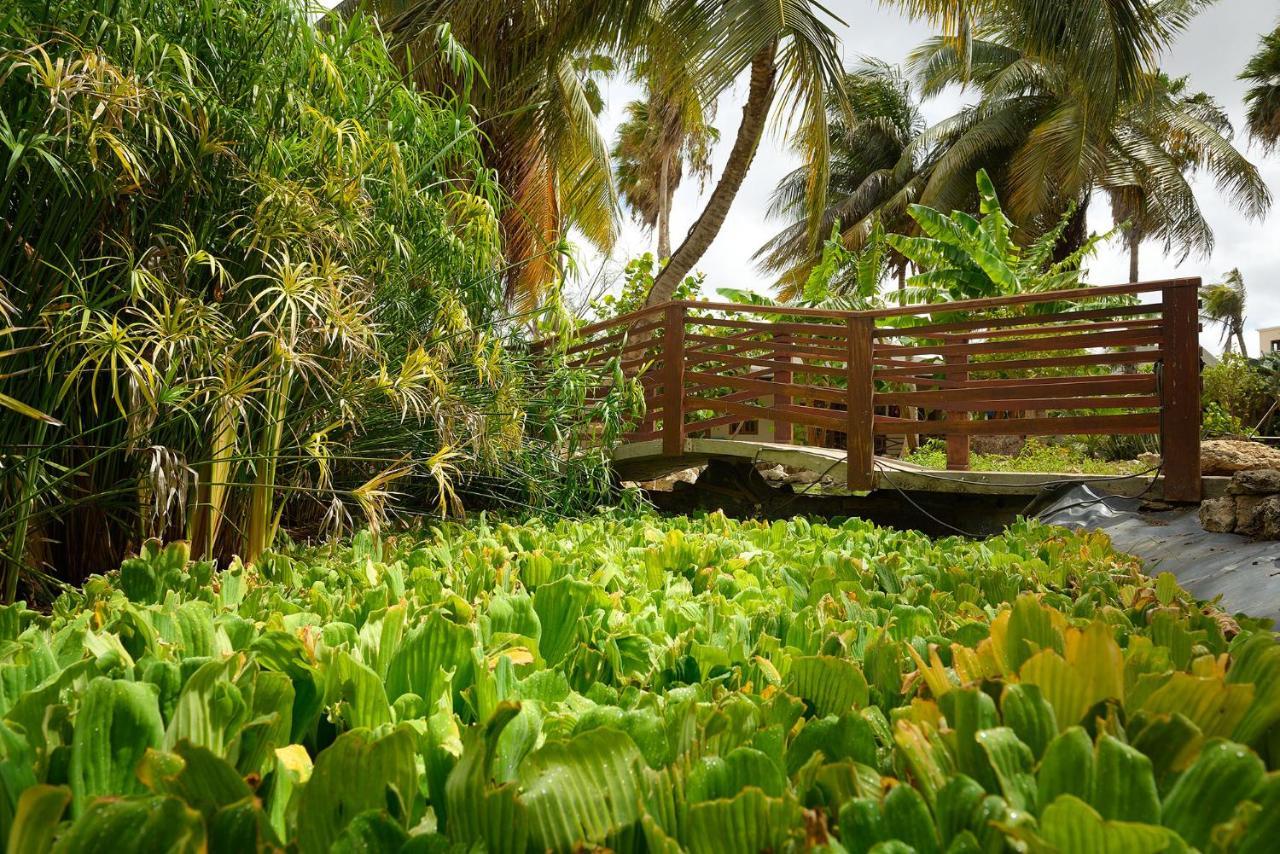 Captain Don'S Habitat كراليندايك المظهر الخارجي الصورة